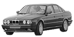 BMW E34 U1233 Fault Code
